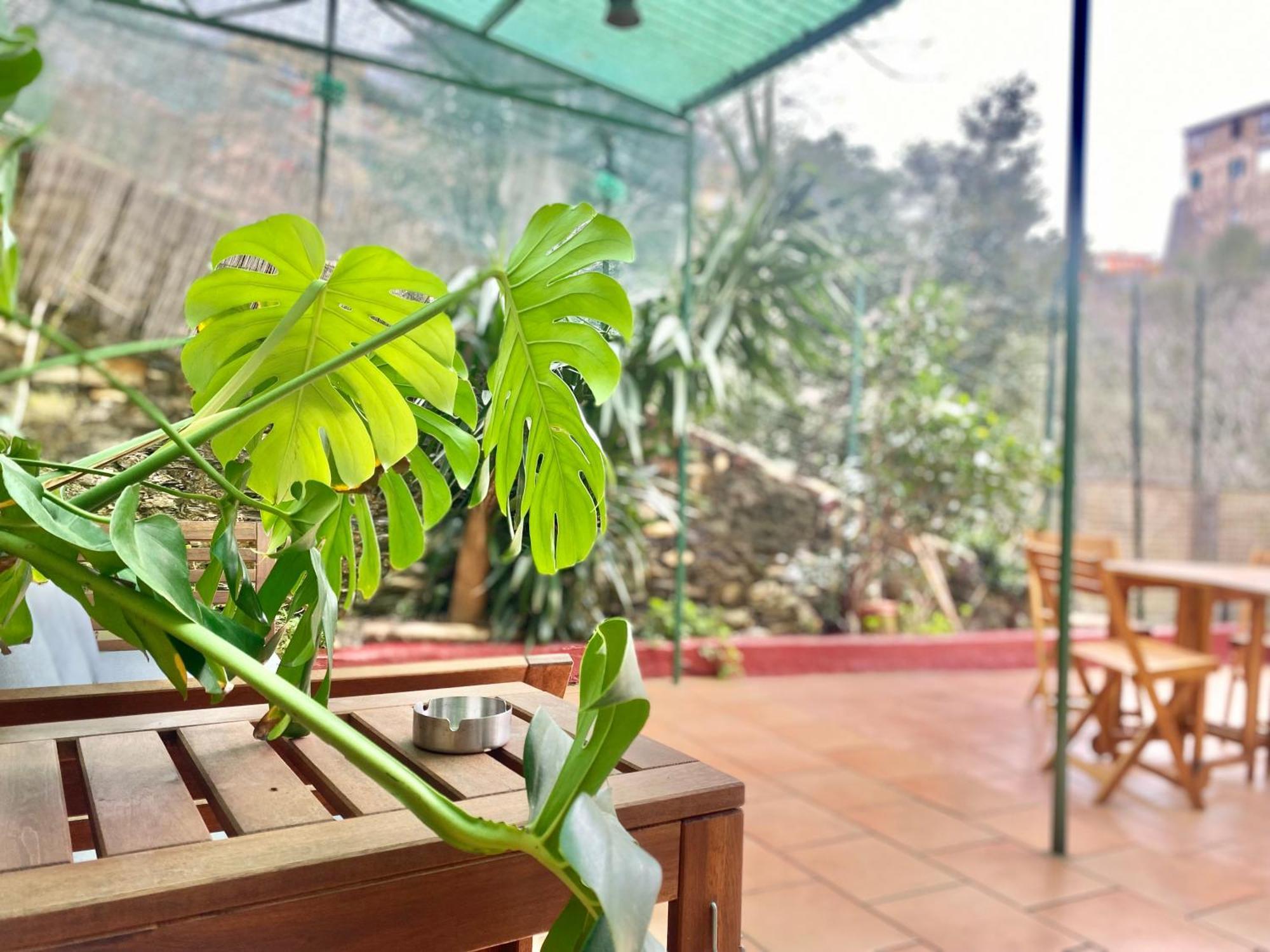 Casaviva - Bilo With Patio In Genova San Teodoro Leilighet Eksteriør bilde